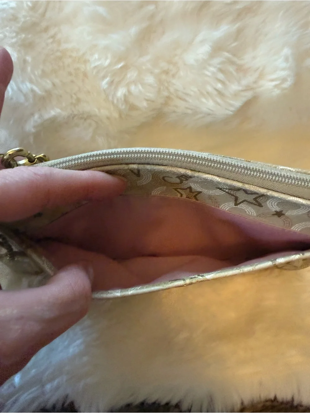 Coach wristlet clutch